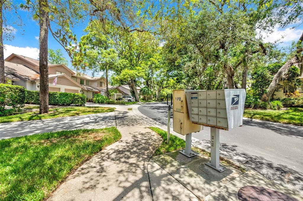 1900 WHISPERING WAY, TARPON SPRINGS, FL 34689 — zdjęcie 4