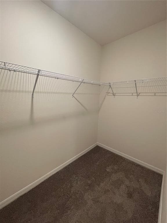 33952 JASPER STONE DRIVE, WESLEY CHAPEL, FL 33543 — zdjęcie 5