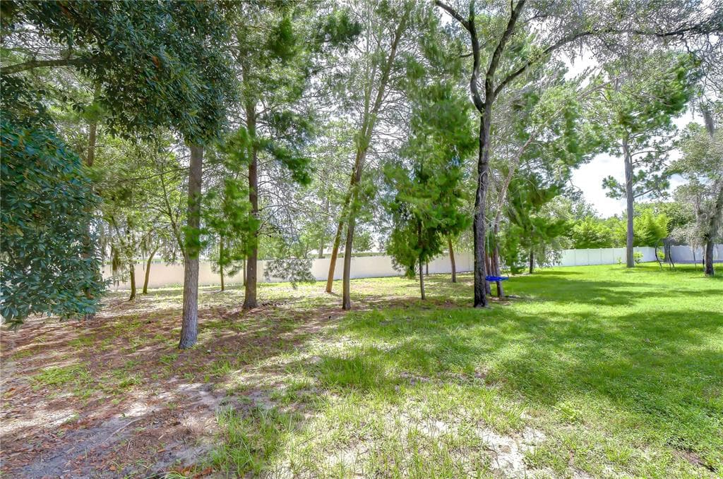 3358 PONYTAIL COURT, SPRING HILL, FL 34609 — zdjęcie 3