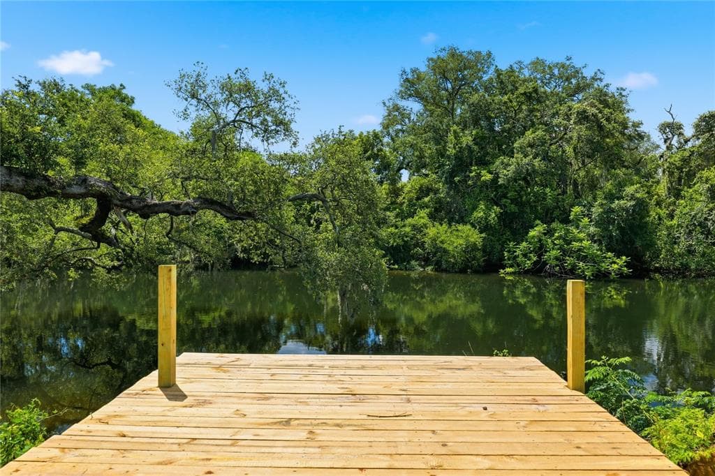 1915 E MULBERRY DRIVE, TAMPA, FL 33604 — zdjęcie 5