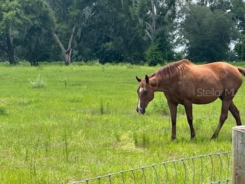 14854 NE JACKSONVILLE ROAD, CITRA, FL 32113 — zdjęcie 5