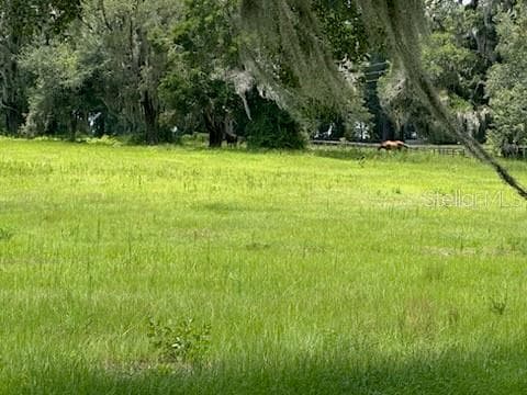 14854 NE JACKSONVILLE ROAD, CITRA, FL 32113 — zdjęcie 4
