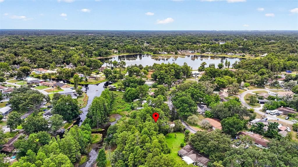 910 HILLSIDE DRIVE, LUTZ, FL 33549 — zdjęcie 5