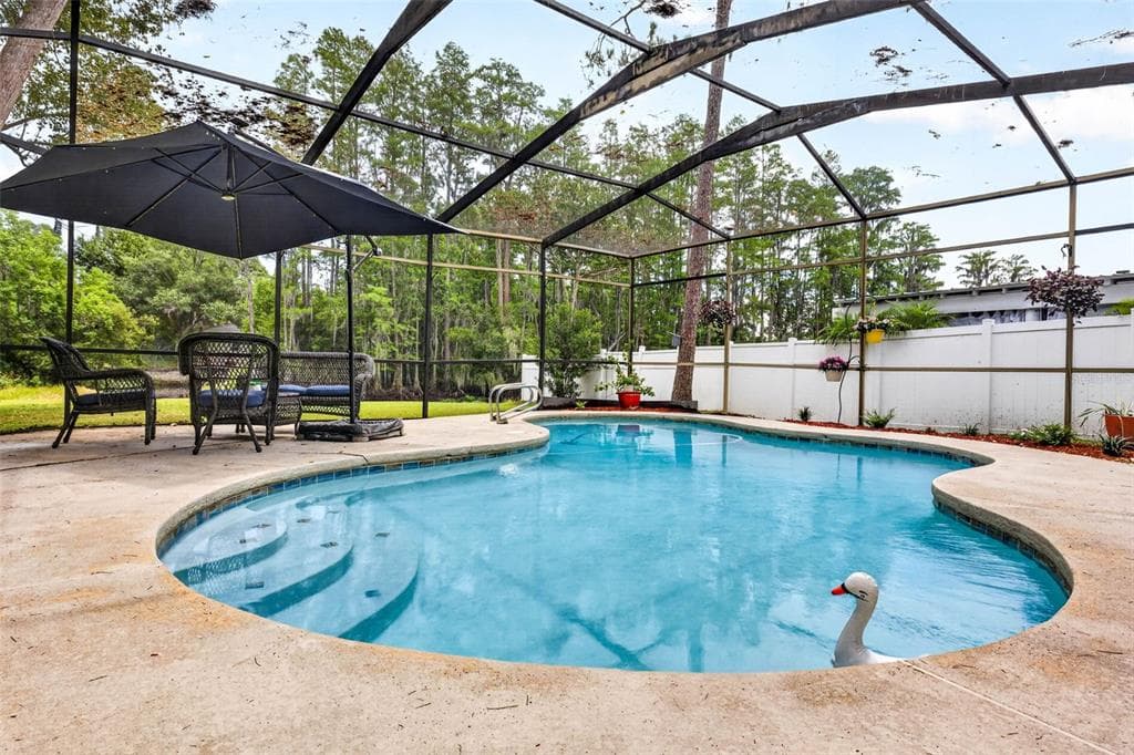 910 HILLSIDE DRIVE, LUTZ, FL 33549 — zdjęcie 4