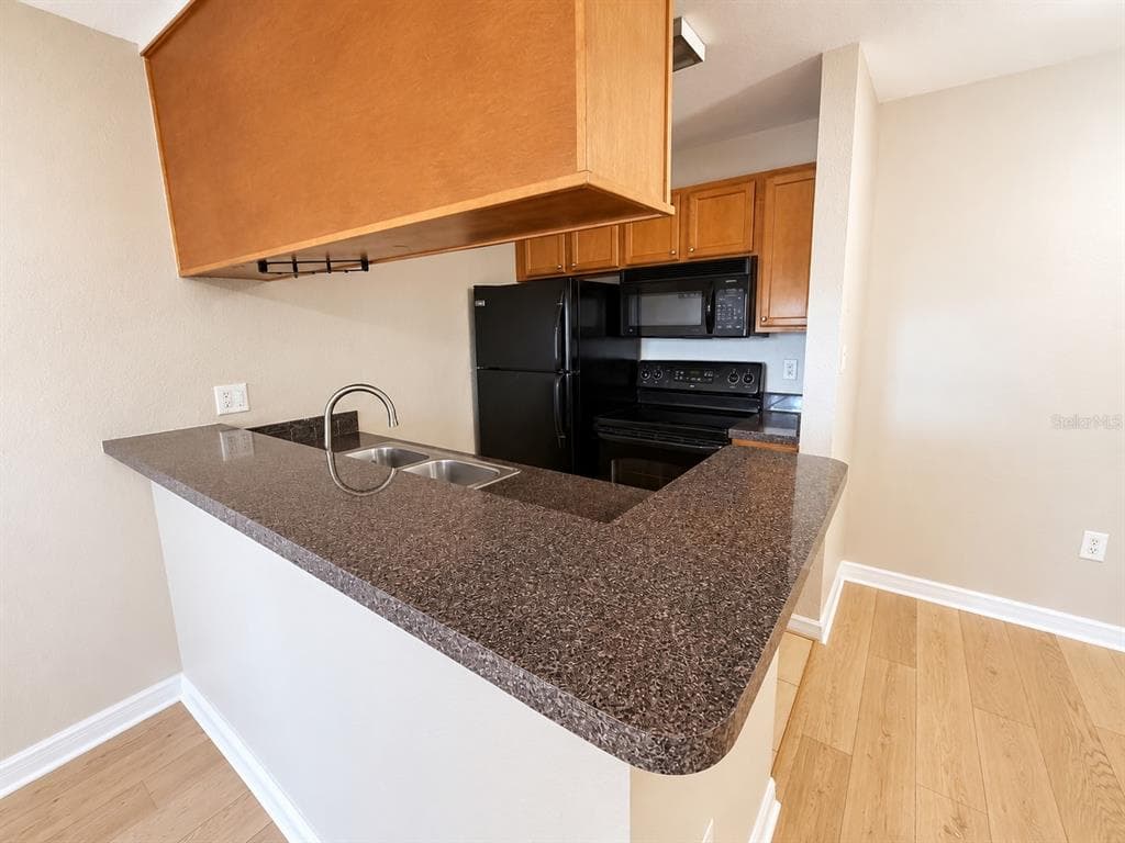 203 LAKE PARSONS GREEN # 108, BRANDON, FL 33511 — zdjęcie 3