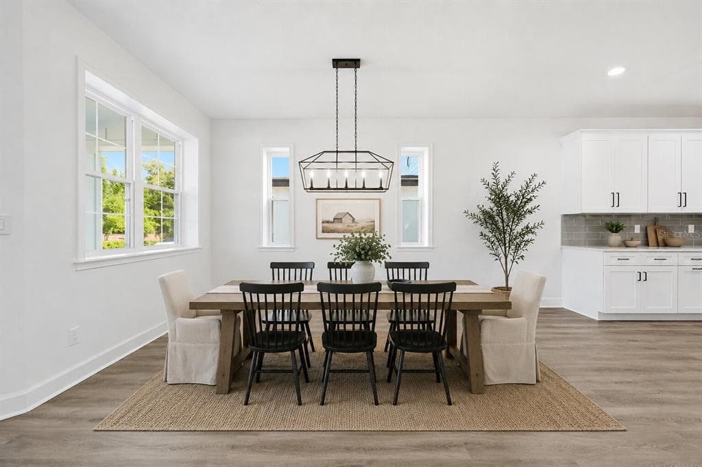 1018 FARMSTEAD STREET, EUSTIS, FL 32736 — zdjęcie 4