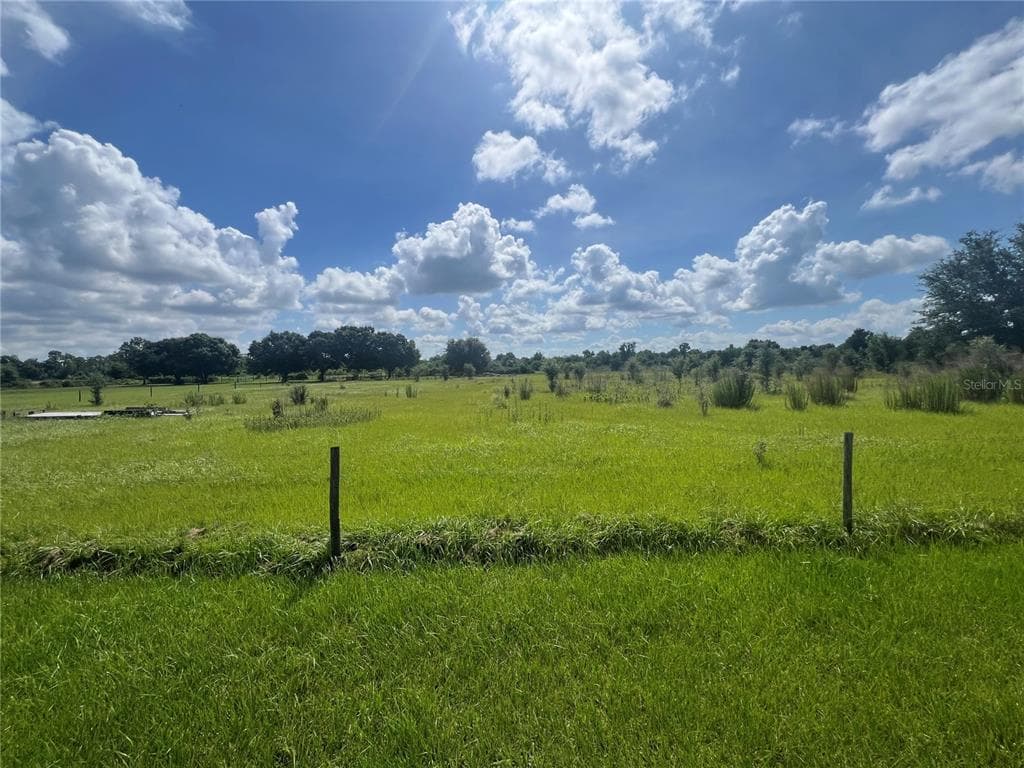 8755 WAUCHULA ROAD, MYAKKA CITY, FL 34251 — zdjęcie 4
