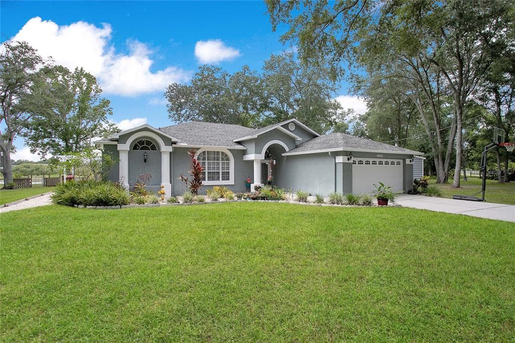 19616 LIVINGSTON AVENUE, LUTZ, FL 33559 — zdjęcie 5