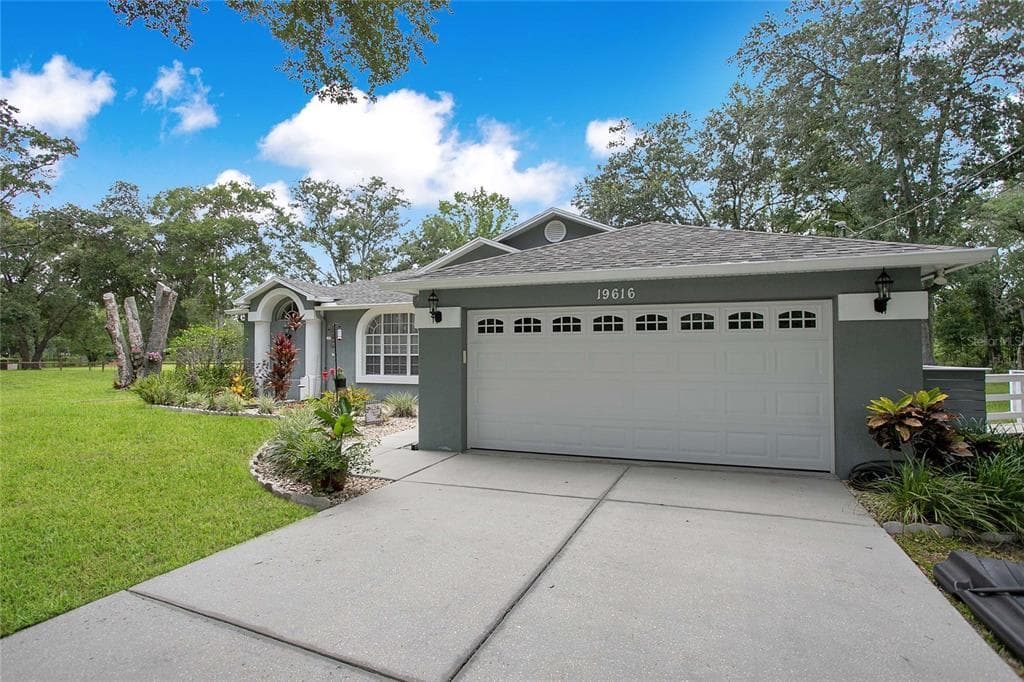 19616 LIVINGSTON AVENUE, LUTZ, FL 33559 — zdjęcie 4