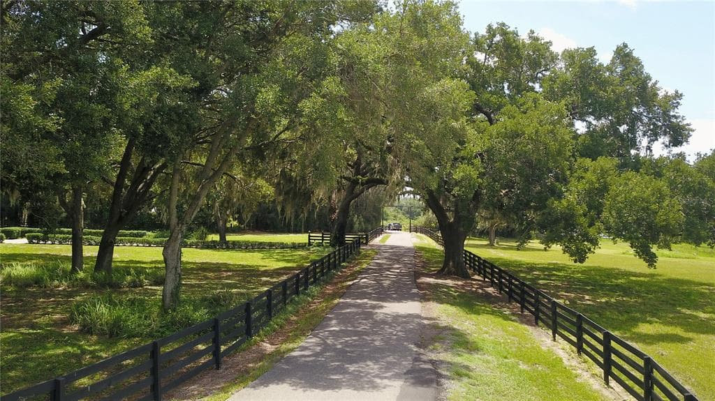 16945 W PHIL C PETERS ROAD, WINTER GARDEN, FL 34787 — zdjęcie 3