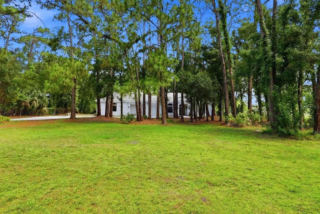 6301 S 86TH AVENUE N, PINELLAS PARK, FL 33782 — zdjęcie 2