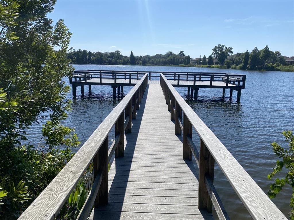 10422 LAKE MONTAUK DRIVE, RIVERVIEW, FL 33578 — zdjęcie 3