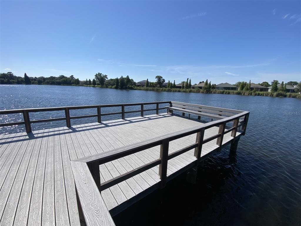 10422 LAKE MONTAUK DRIVE, RIVERVIEW, FL 33578 — zdjęcie 4