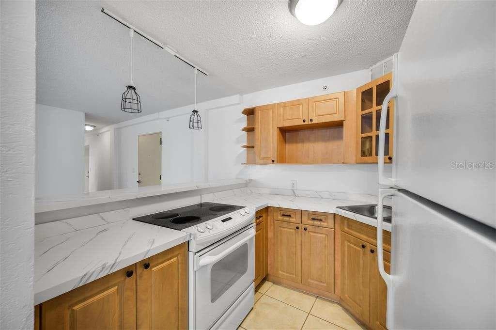 3315 58TH AVENUE S # 103, ST PETERSBURG, FL 33712 — zdjęcie 4