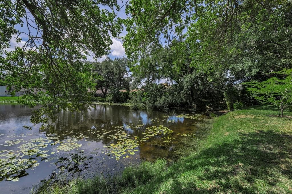 10497 LONGWOOD DRIVE, SEMINOLE, FL 33777 — zdjęcie 3
