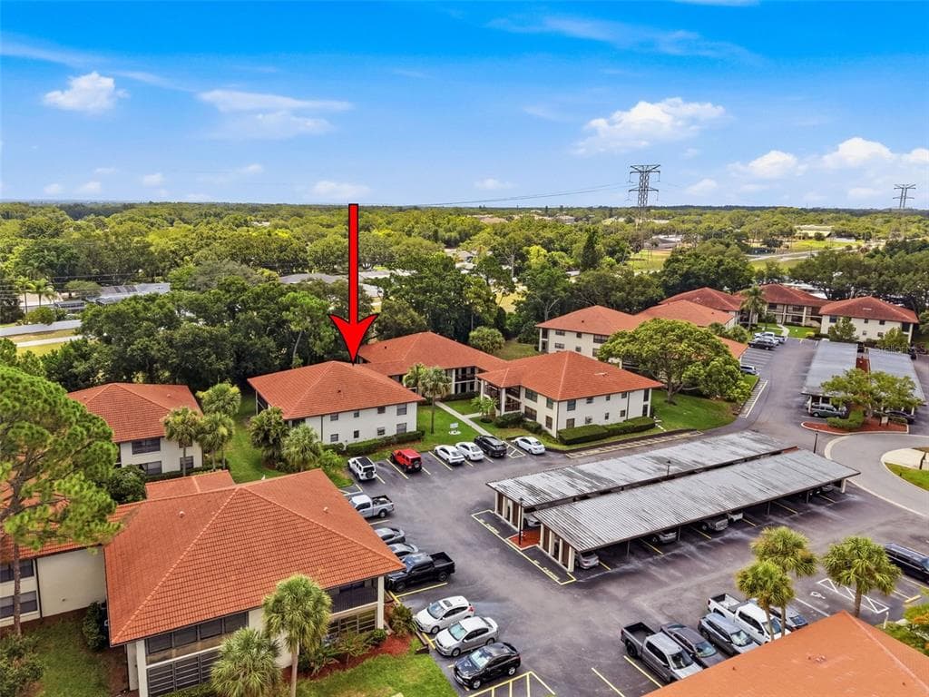 1309 HAMMOCK PINE BOULEVARD # 1309, CLEARWATER, FL 33761 — zdjęcie 2