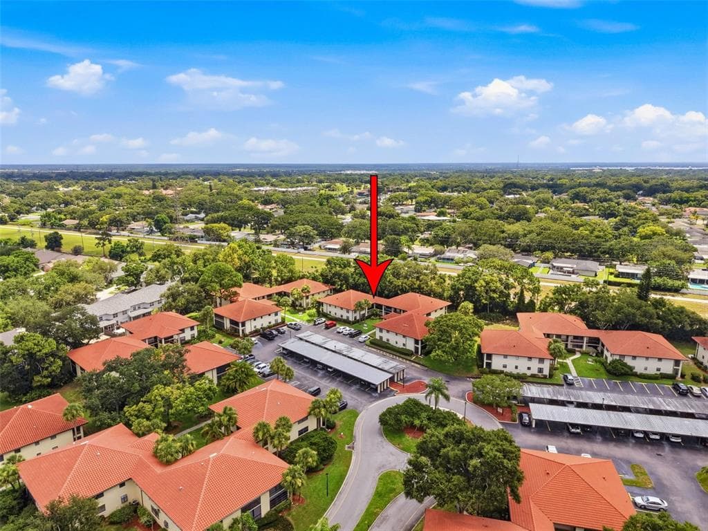 1309 HAMMOCK PINE BOULEVARD # 1309, CLEARWATER, FL 33761 — zdjęcie 3