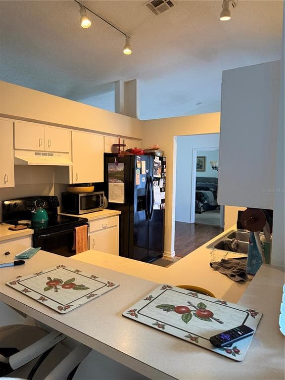 3875 HORIZON HILL DRIVE, LAKELAND, FL 33813 — zdjęcie 4