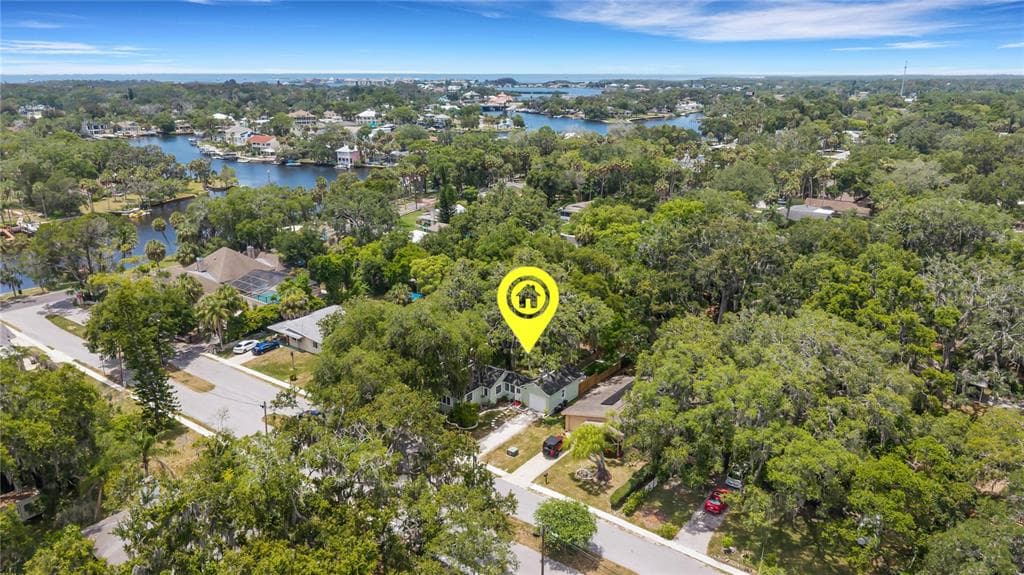 5651 ORANGE GROVE AVENUE, NEW PORT RICHEY, FL 34652 — zdjęcie 5
