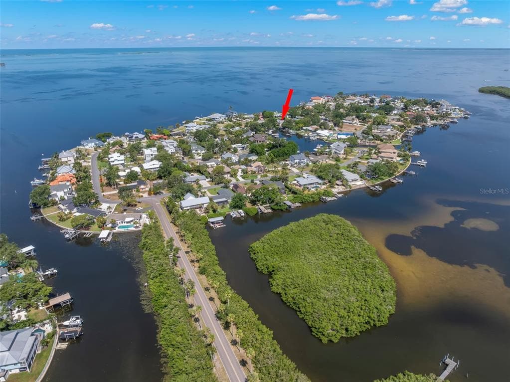 121 CARLYLE DRIVE, PALM HARBOR, FL 34683 — zdjęcie 3