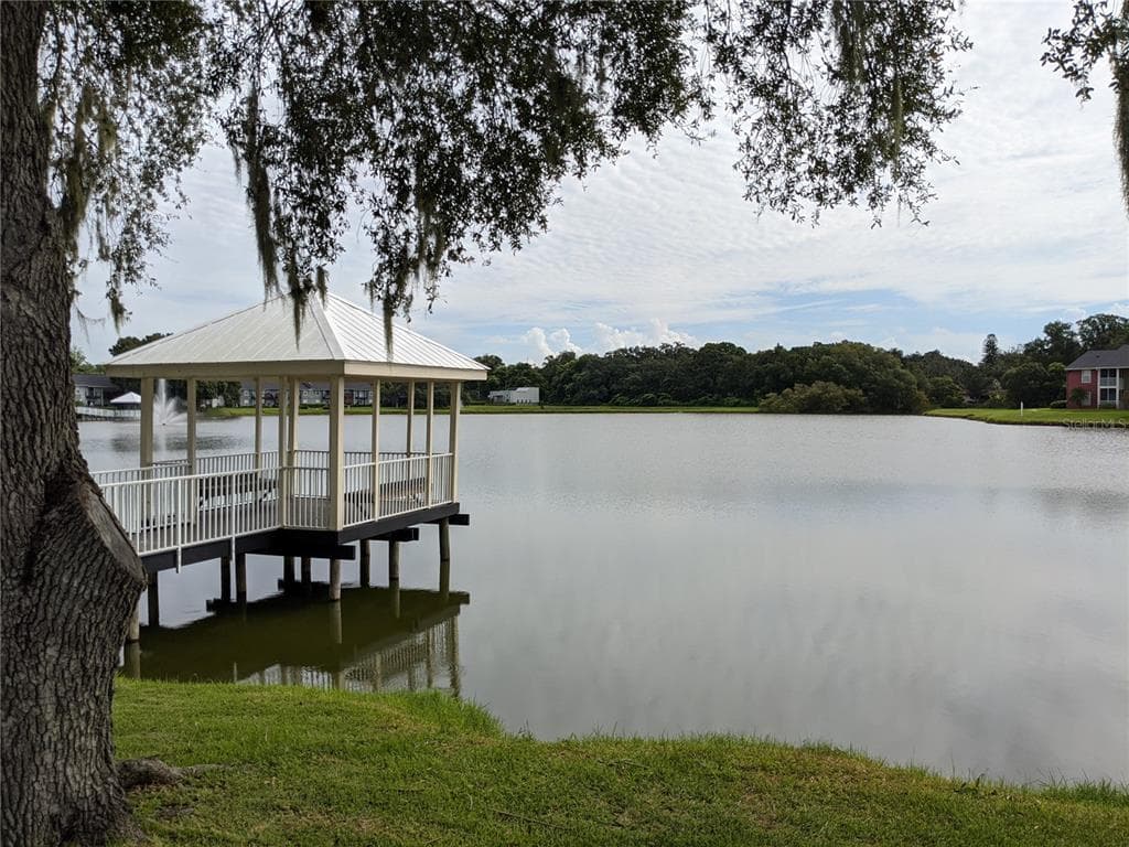 209 LAKE BROOK CIRCLE # 103, BRANDON, FL 33511 — zdjęcie 5
