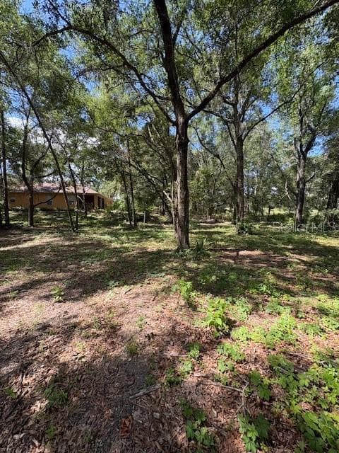 9273 SW 197TH CIR, DUNNELLON, FL 34432 — zdjęcie 5
