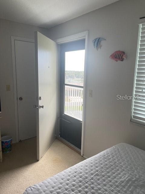 3510 S OCEAN SHORE BOULEVARD # 215, FLAGLER BEACH, FL 32136 — zdjęcie 5