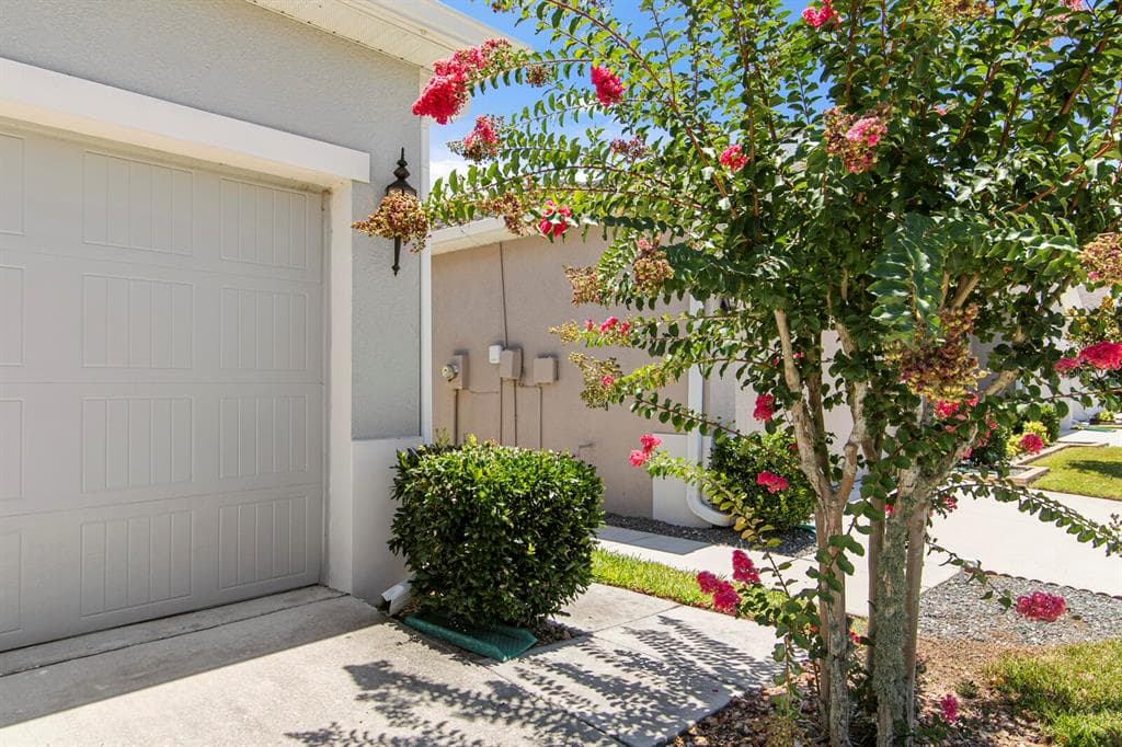 10631 HERON HIDEAWAY LOOP, LAND O LAKES, FL 34638 — zdjęcie 4