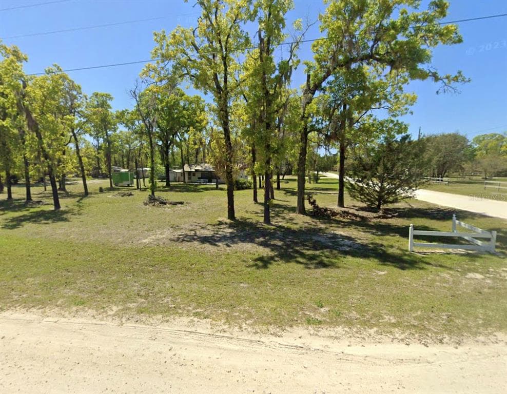 2699 LIVE OAK ROAD, PERRY, FL 32348 — zdjęcie 5