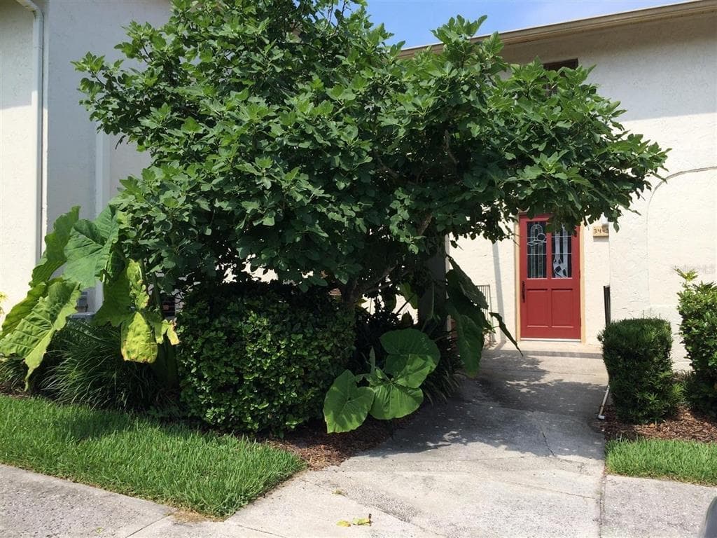 200 MAITLAND AVENUE # 34, ALTAMONTE SPRINGS, FL 32701 — zdjęcie 2