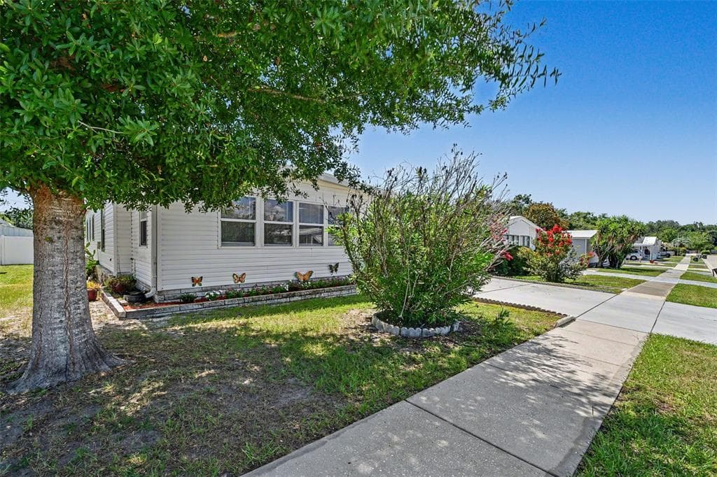 3902 JULIE DRIVE, WESLEY CHAPEL, FL 33543 — zdjęcie 2
