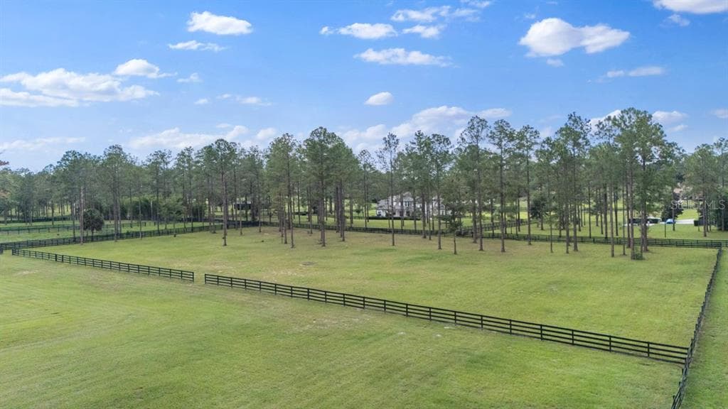 23741 RIDGE LINK ROAD, EUSTIS, FL 32736 — zdjęcie 3