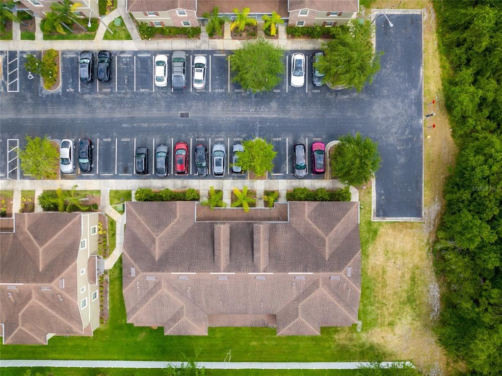 31210 GOSSAMER WAY, WESLEY CHAPEL, FL 33543 — zdjęcie 4