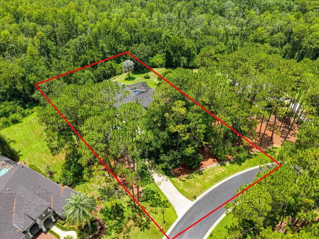 418 PINE BLUFF DRIVE, LUTZ, FL 33549 — zdjęcie 2