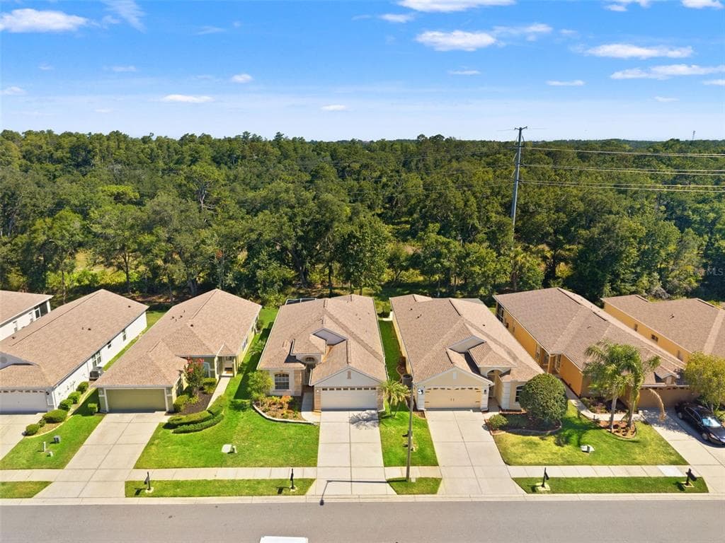 2913 BANYAN HILL LANE, LAND O LAKES, FL 34639 — zdjęcie 2