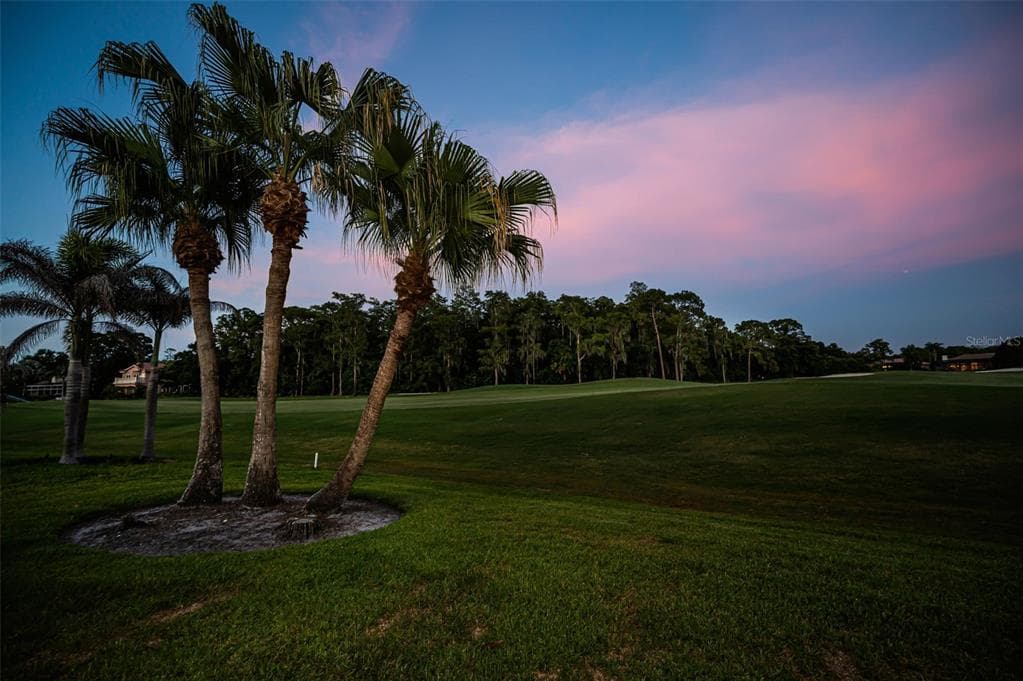 4995 CAMBERLEY LANE, OLDSMAR, FL 34677 — zdjęcie 2