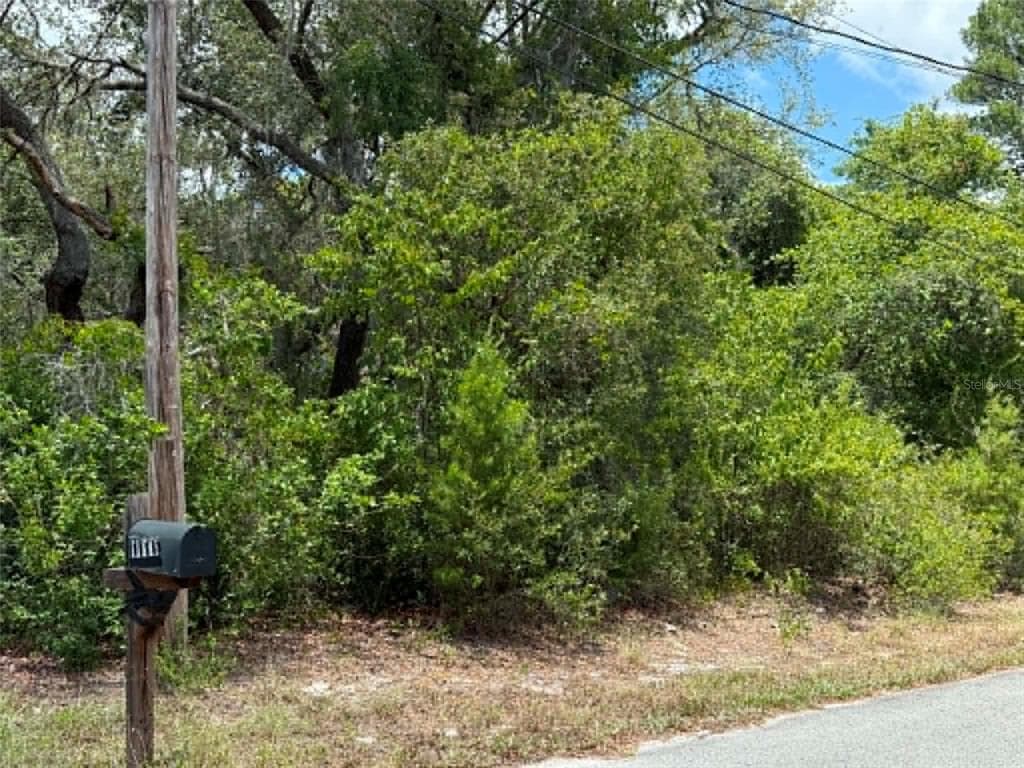 10051 WADDELL STREET, NEW PORT RICHEY, FL 34654 — zdjęcie 3