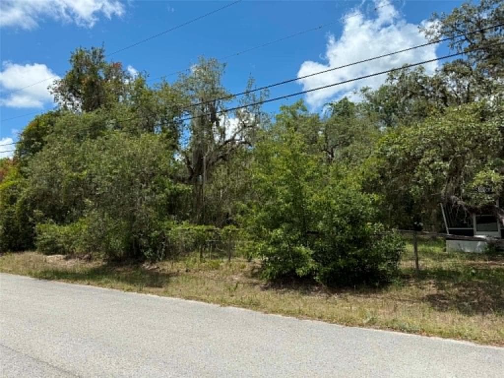 10051 WADDELL STREET, NEW PORT RICHEY, FL 34654 — zdjęcie 5