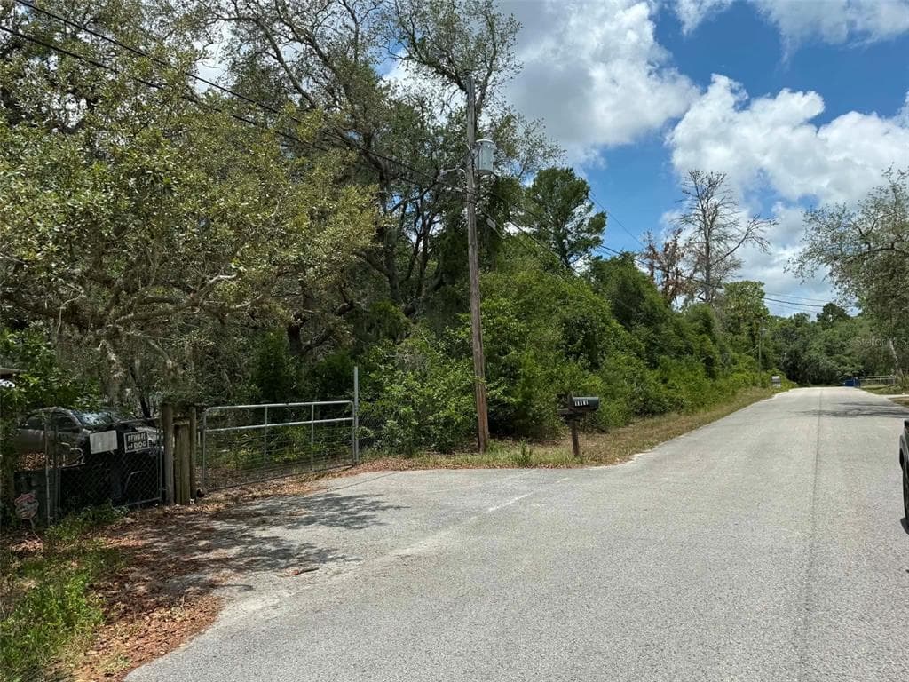 10051 WADDELL STREET, NEW PORT RICHEY, FL 34654 — zdjęcie 4