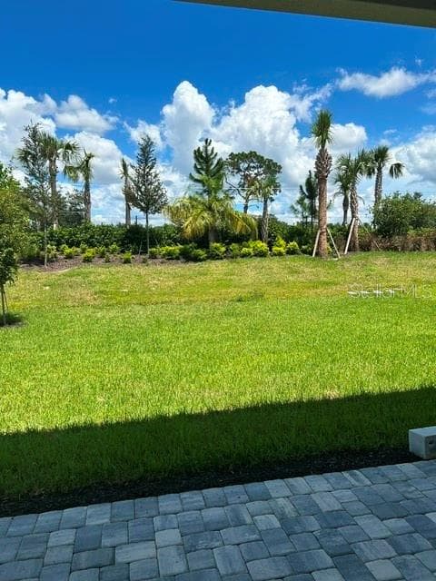 32630 NEROLI STREET, WESLEY CHAPEL, FL 33543 — zdjęcie 3