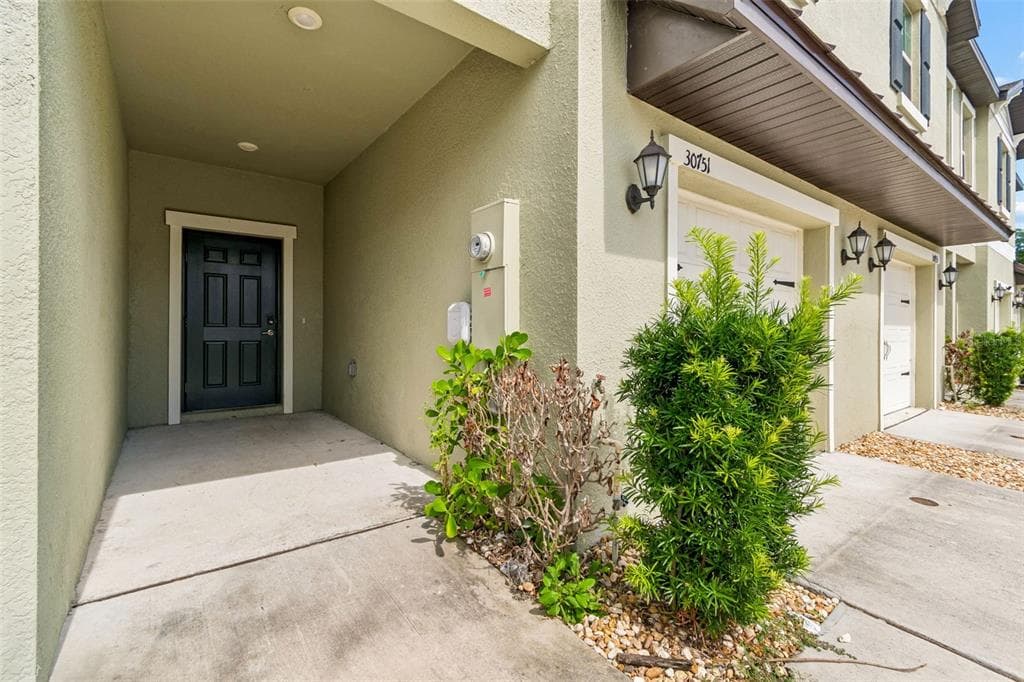 30751 VERIDIAN WAY, WESLEY CHAPEL, FL 33543 — zdjęcie 5