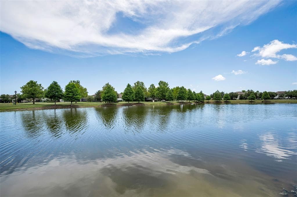 13125 BATTEN LANE, ODESSA, FL 33556 — zdjęcie 3