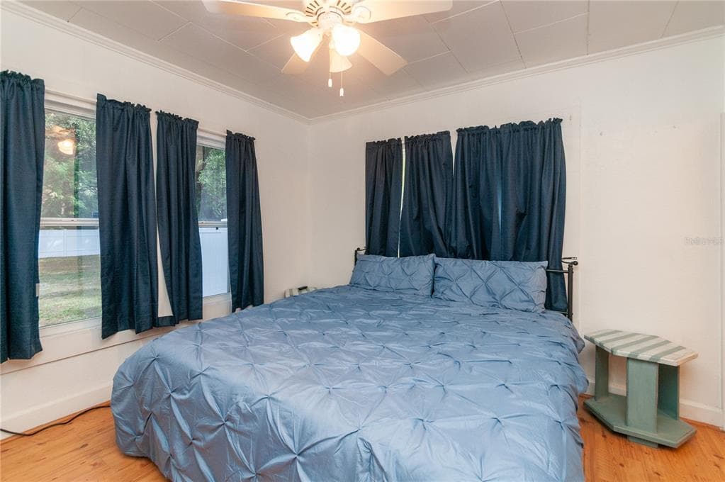 1235 BASS BOULEVARD, DUNEDIN, FL 34698 — zdjęcie 3