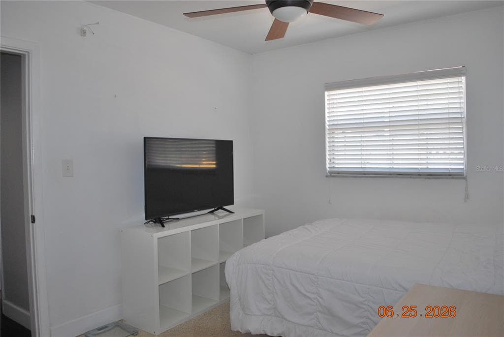 1515 NEBRASKA AVENUE, PALM HARBOR, FL 34683 — zdjęcie 5