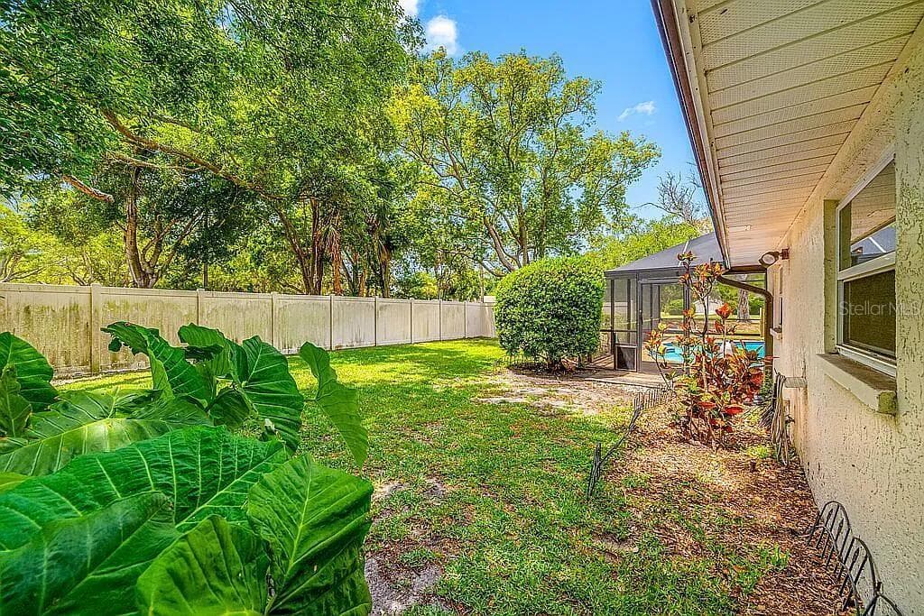 10 LINDEN LANE, PALM HARBOR, FL 34683 — zdjęcie 5