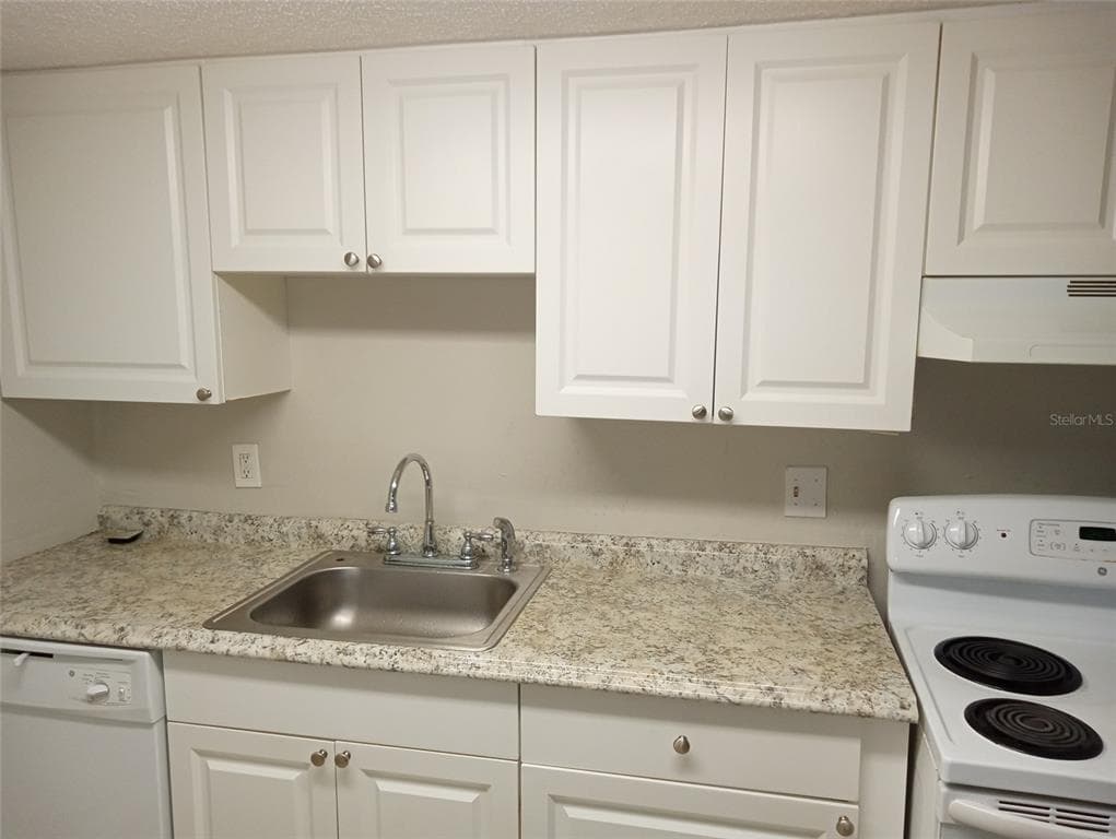 6918 TROUT STREET, TAMPA, FL 33617 — zdjęcie 5