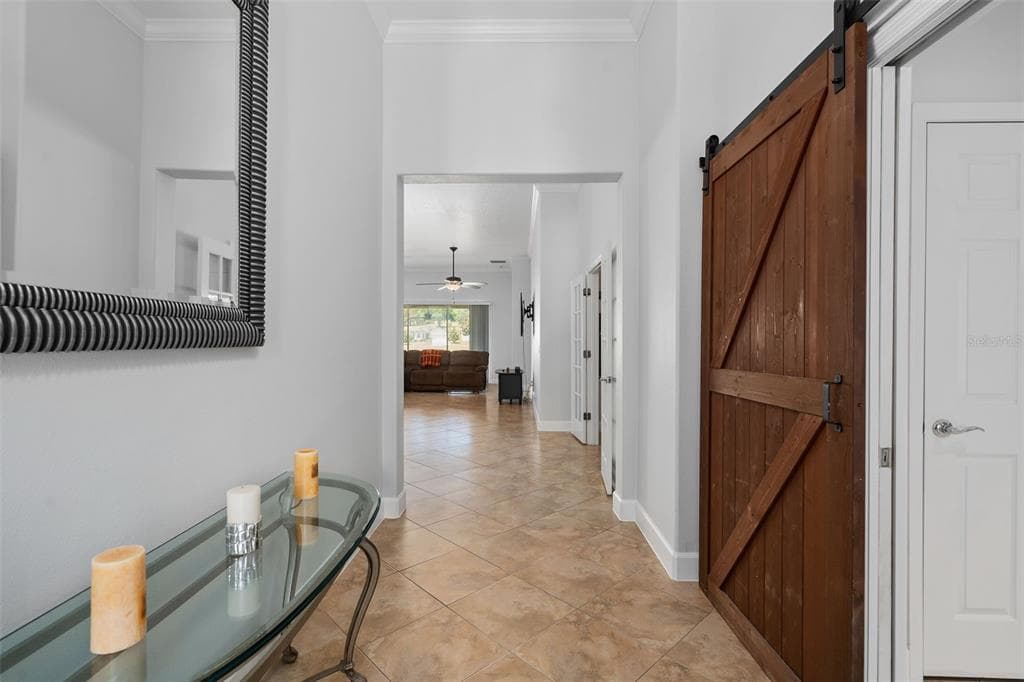 30115 KLADRUBY POINT, MOUNT DORA, FL 32757 — zdjęcie 3