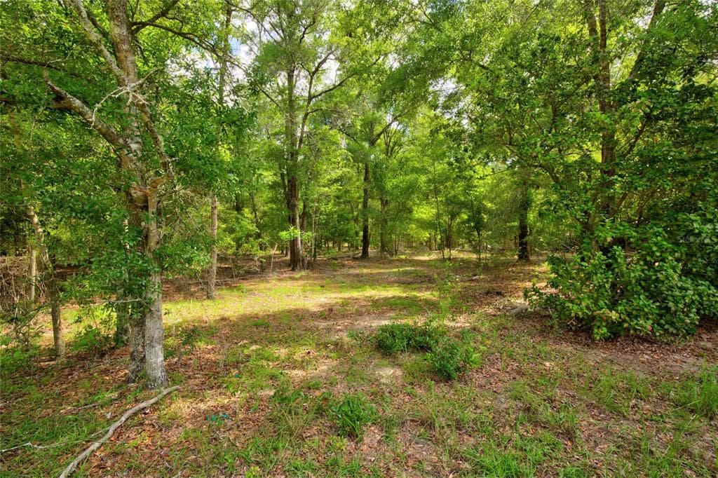 3450 NE 48TH AVENUE, HIGH SPRINGS, FL 32643 — zdjęcie 2