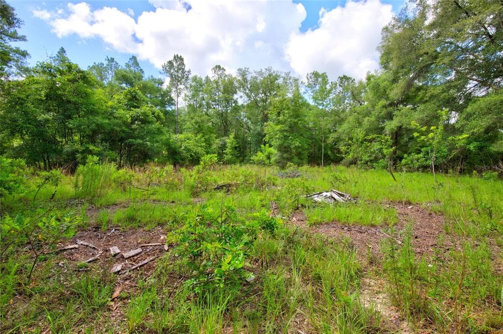 3450 NE 48TH AVENUE, HIGH SPRINGS, FL 32643 — zdjęcie 3
