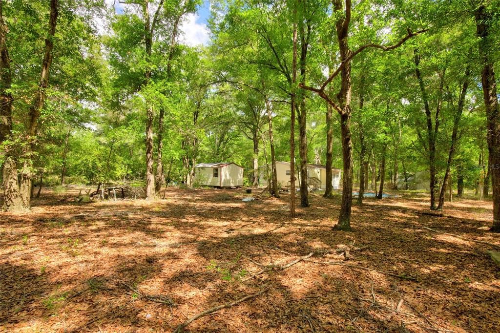 3450 NE 48TH AVENUE, HIGH SPRINGS, FL 32643 — zdjęcie 5